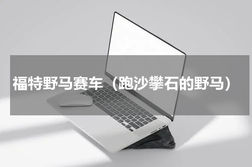 福特野马赛车（跑沙攀石的野马）