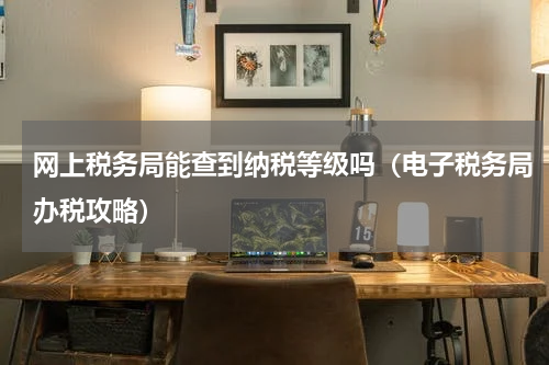 网上税务局能查到纳税等级吗（电子税务局办税攻略）