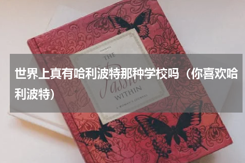 世界上真有哈利波特那种学校吗（你喜欢哈利波特）