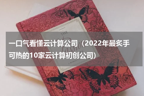 一口气看懂云计算公司（2022年最炙手可热的10家云计算初创公司）