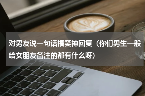 对男友说一句话搞笑神回复（你们男生一般给女朋友备注的都有什么呀）