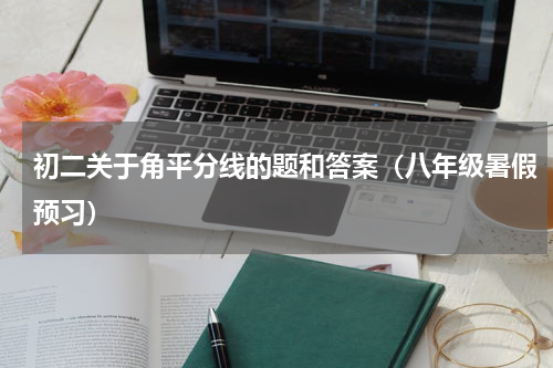 初二关于角平分线的题和答案（八年级暑假预习）