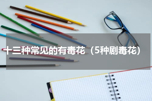 十三种常见的有毒花（5种剧毒花）