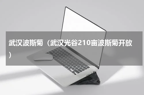 武汉波斯菊（武汉光谷210亩波斯菊开放）