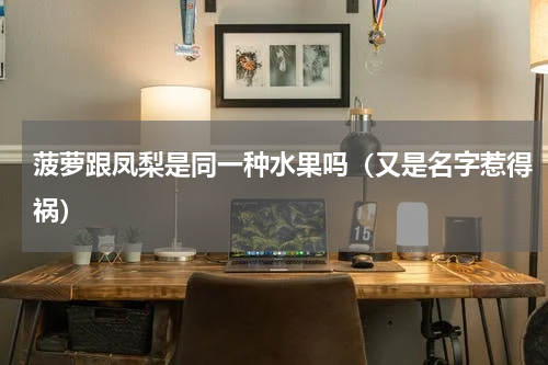 菠萝跟凤梨是同一种水果吗（又是名字惹得祸）