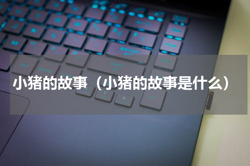 小猪的故事（小猪的故事是什么）