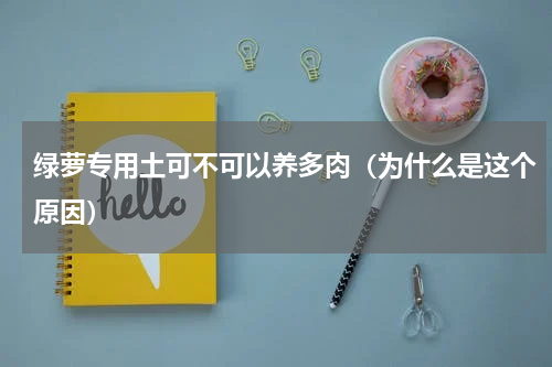 绿萝专用土可不可以养多肉（为什么是这个原因）