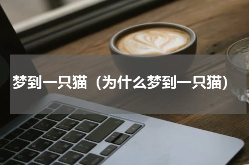 梦到一只猫（为什么梦到一只猫）