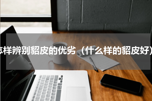 怎样辨别貂皮的优劣（什么样的貂皮好）