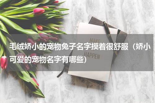 毛绒娇小的宠物兔子名字摸着很舒服（娇小可爱的宠物名字有哪些）