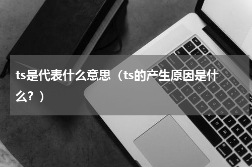 ts是代表什么意思（ts的产生原因是什么？）