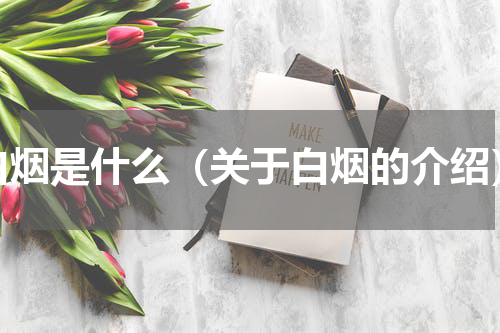 白烟是什么（关于白烟的介绍）