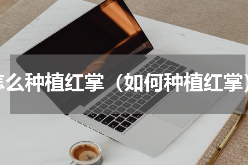 怎么种植红掌（如何种植红掌）