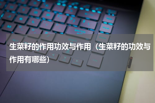 生菜籽的作用功效与作用（生菜籽的功效与作用有哪些）