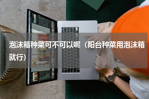 泡沫箱种菜可不可以呢（阳台种菜用泡沫箱就行）