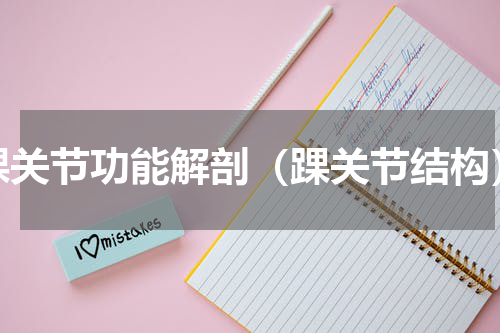 踝关节功能解剖（踝关节结构）