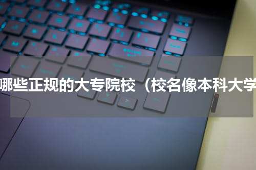 有哪些正规的大专院校（校名像本科大学）