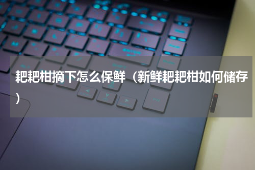 耙耙柑摘下怎么保鲜（新鲜耙耙柑如何储存）