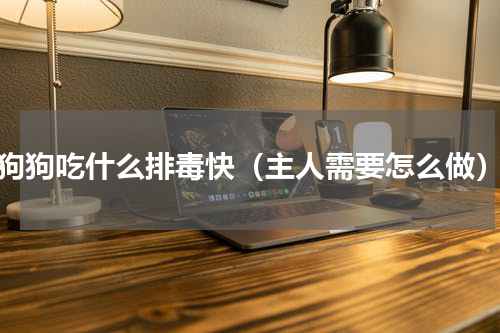 狗狗吃什么排毒快（主人需要怎么做）