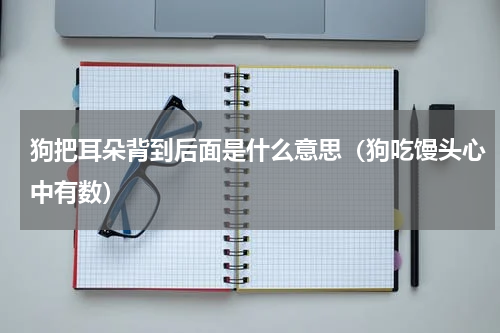 狗把耳朵背到后面是什么意思（狗吃馒头心中有数）