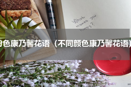 粉色康乃馨花语（不同颜色康乃馨花语）