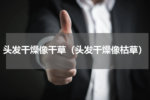 头发干燥像干草（头发干燥像枯草）