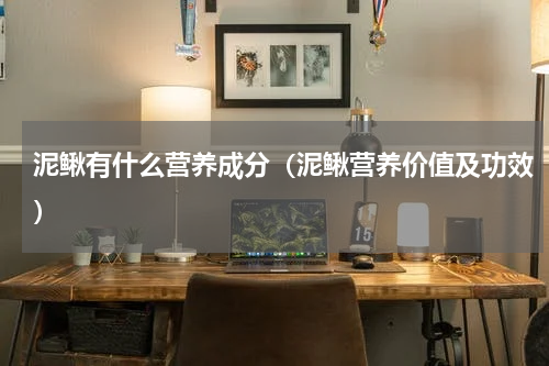 泥鳅有什么营养成分（泥鳅营养价值及功效）