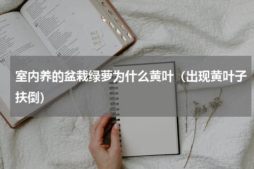 室内养的盆栽绿萝为什么黄叶（出现黄叶子扶倒）
