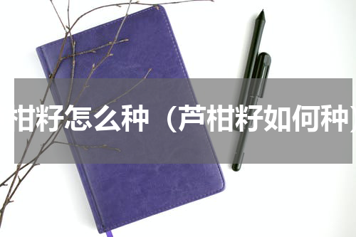 芦柑籽怎么种（芦柑籽如何种）