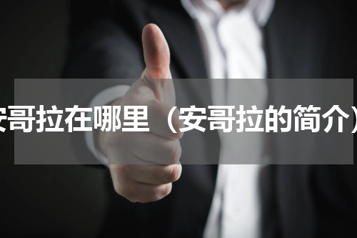 安哥拉在哪里（安哥拉的简介）