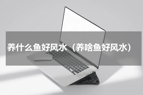 养什么鱼好风水（养啥鱼好风水）