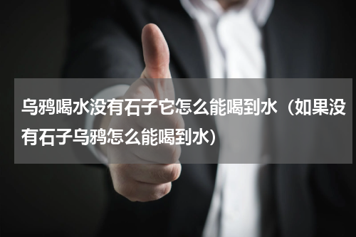 乌鸦喝水没有石子它怎么能喝到水（如果没有石子乌鸦怎么能喝到水）
