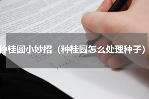种桂圆小妙招（种桂圆怎么处理种子）