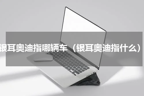 银耳奥迪指哪辆车（银耳奥迪指什么）