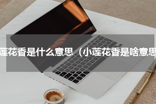 小莲花香是什么意思（小莲花香是啥意思）