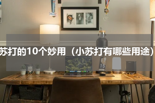 小苏打的10个妙用（小苏打有哪些用途）