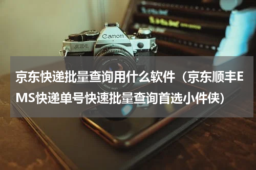 京东快递批量查询用什么软件（京东顺丰EMS快递单号快速批量查询首选小件侠）