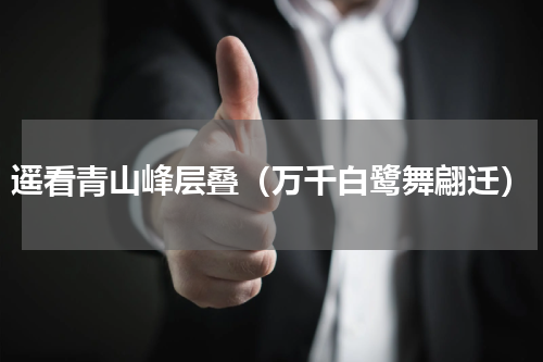 遥看青山峰层叠（万千白鹭舞翩迁）