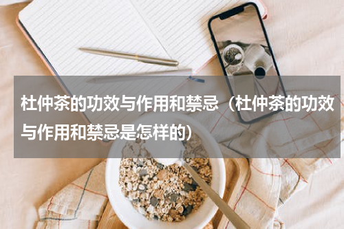 杜仲茶的功效与作用和禁忌（杜仲茶的功效与作用和禁忌是怎样的）