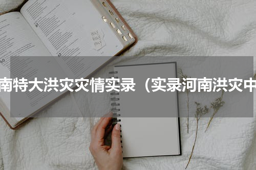 河南特大洪灾灾情实录（实录河南洪灾中）
