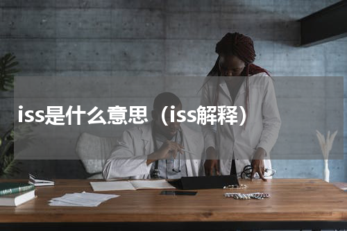 iss是什么意思（iss解释）