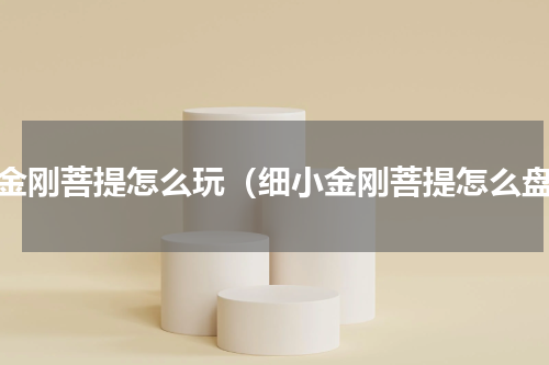 小金刚菩提怎么玩（细小金刚菩提怎么盘）