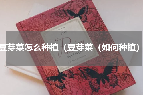 豆芽菜怎么种植（豆芽菜（如何种植）