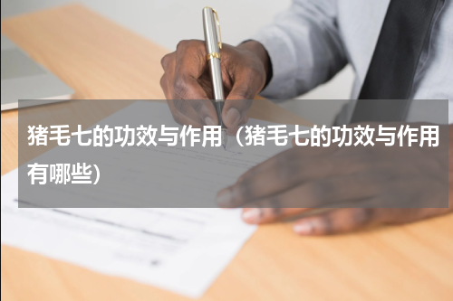 猪毛七的功效与作用（猪毛七的功效与作用有哪些）