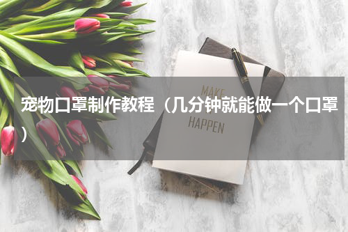 宠物口罩制作教程（几分钟就能做一个口罩）