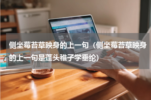 侧坐莓苔草映身的上一句（侧坐莓苔草映身的上一句是蓬头稚子学垂纶）