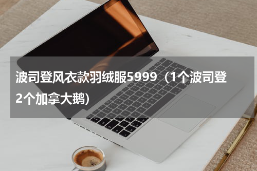 波司登风衣款羽绒服5999（1个波司登2个加拿大鹅）