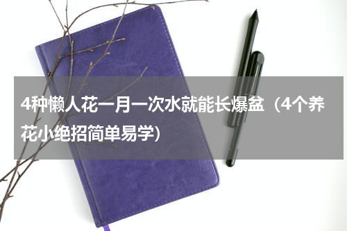 4种懒人花一月一次水就能长爆盆（4个养花小绝招简单易学）