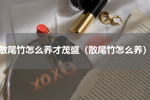 散尾竹怎么养才茂盛（散尾竹怎么养）