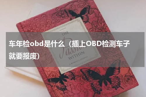 车年检obd是什么（插上OBD检测车子就要报废）